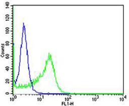 Flow cytometric analysis of Ramos cells using IL4R Antibody (green) compared to an isotype control of rabbit IgG(blue). Antibody was diluted at 1:25 dilution. An Alexa Fluor 488 goat anti-rabbit lgG at 1:400 dilution was used as the secondary antibody.