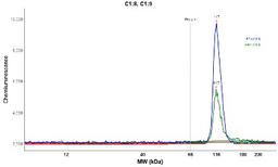 Simple Western: FCHO2 Antibody [NBP2-32694] - Electropherogram image(s) of corresponding Simple Western lane view. FCHO2 antibody was used at 1:20 dilution on RT-4 and A431 lysate(s).