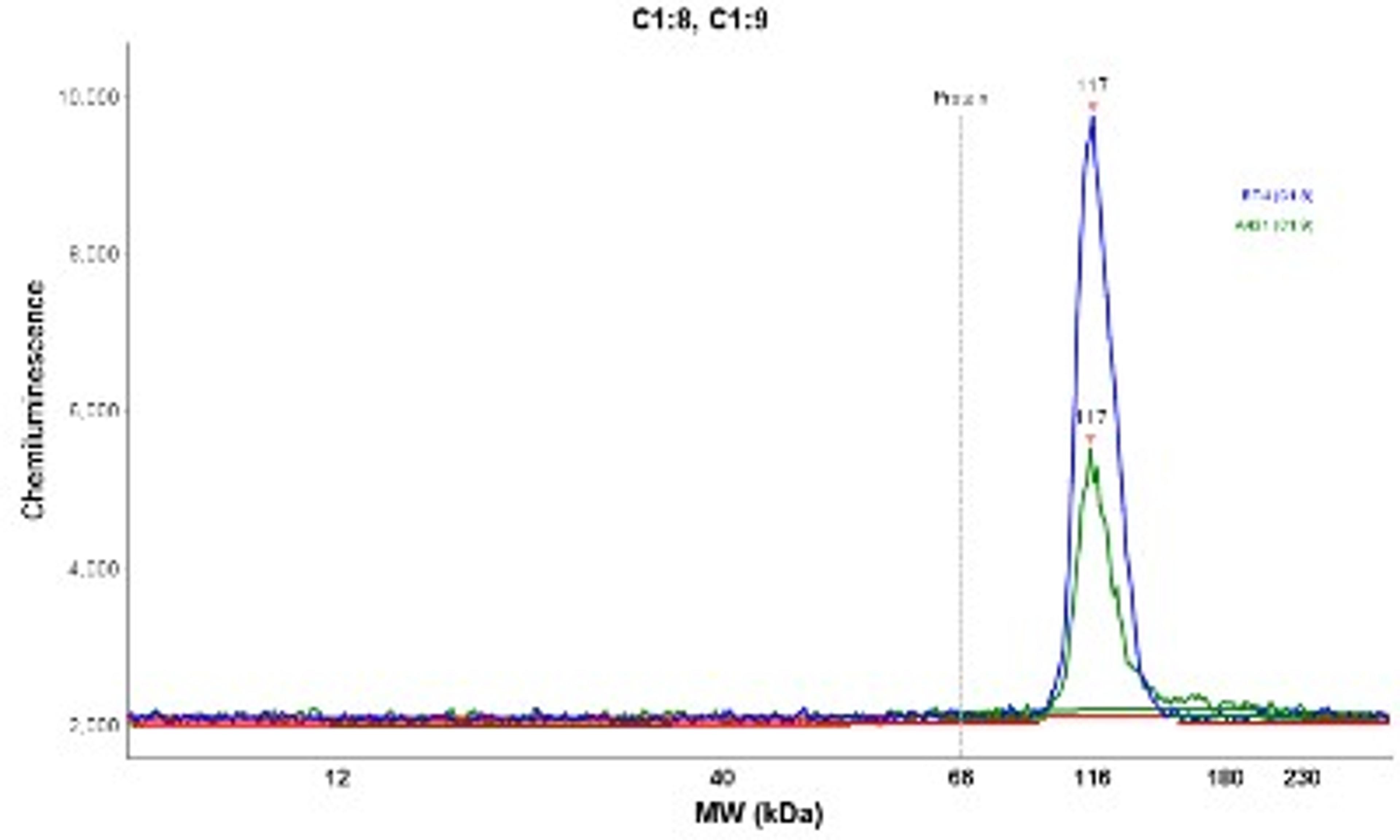 Simple Western: FCHO2 Antibody [NBP2-32694] - Electropherogram image(s) of corresponding Simple Western lane view. FCHO2 antibody was used at 1:20 dilution on RT-4 and A431 lysate(s).