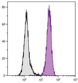 Human peripheral blood granulocytes were stained with Mouse Anti-Human CD11b-BIOT (Cat. No. 99-463) followed by Streptavidin-FITC .