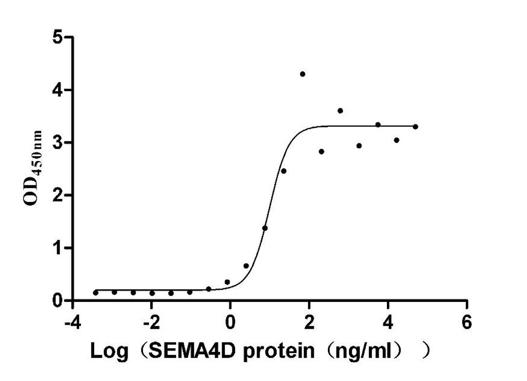 The Binding Activity of Mouse Sema4d with Anti-SEMA4D recombinant antibody. Activity: Measured by its binding ability in a functional ELISA. Immobilized Anti-SEMA4D recombinant antibody at 2 μg/mL can bind Mouse Sema4d (CSB-MP020990MO), the EC<sub>50</sub> is 5.829-16.86 ng/mL.