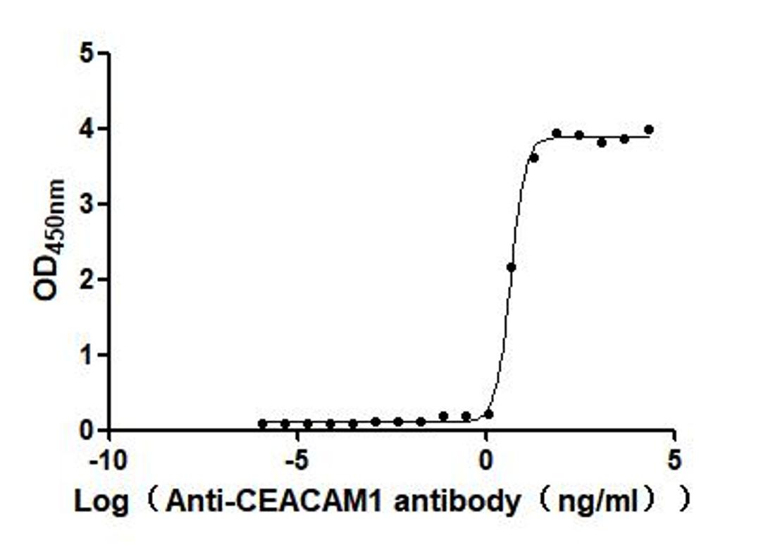 The Binding Activity of Human CEACAM1 with Anti-CEACAM1 recombinant antibody. Activity: Measured by its binding ability in a functional ELISA. Immobilized Human CEACAM1 at 2 μg/mL can bind Anti-CEACAM1 recombinant antibody(CSB-RA005157MA1HU). The EC<sub>50</sub> is 3.432 - 6.079 ng/mL.