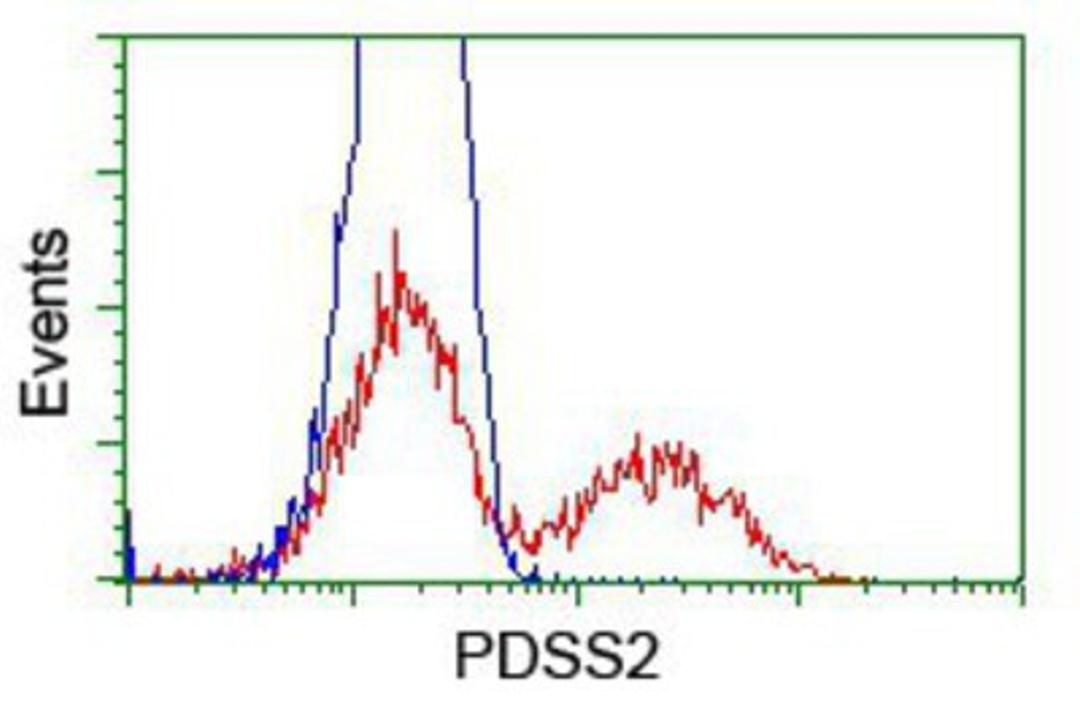 Flow Cytometry: PDSS2 Antibody (1D12) [NBP2-01512] - HEK293T cells transfected with either overexpression plasmid (Red) or empty vector control plasmid (Blue) were immunostained by anti-PDSS2 antibody, and then analyzed by flow cytometry.