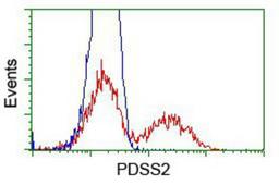 Flow Cytometry: PDSS2 Antibody (1D12) [NBP2-01512] - HEK293T cells transfected with either overexpression plasmid (Red) or empty vector control plasmid (Blue) were immunostained by anti-PDSS2 antibody, and then analyzed by flow cytometry.