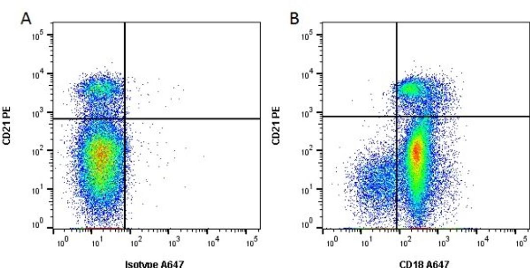 Figure A. Mouse anti Canine CD21. Figure B. Mouse anti Canine CD21 and Mouse anti Canine CD18. 