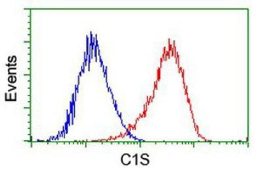 Flow Cytometry: Complement Component C1s Antibody (4E3) [NBP2-01625] - Analysis of Hela cells, using anti-Complement Component C1s antibody, (Red), compared to a nonspecific negative control antibody (Blue).