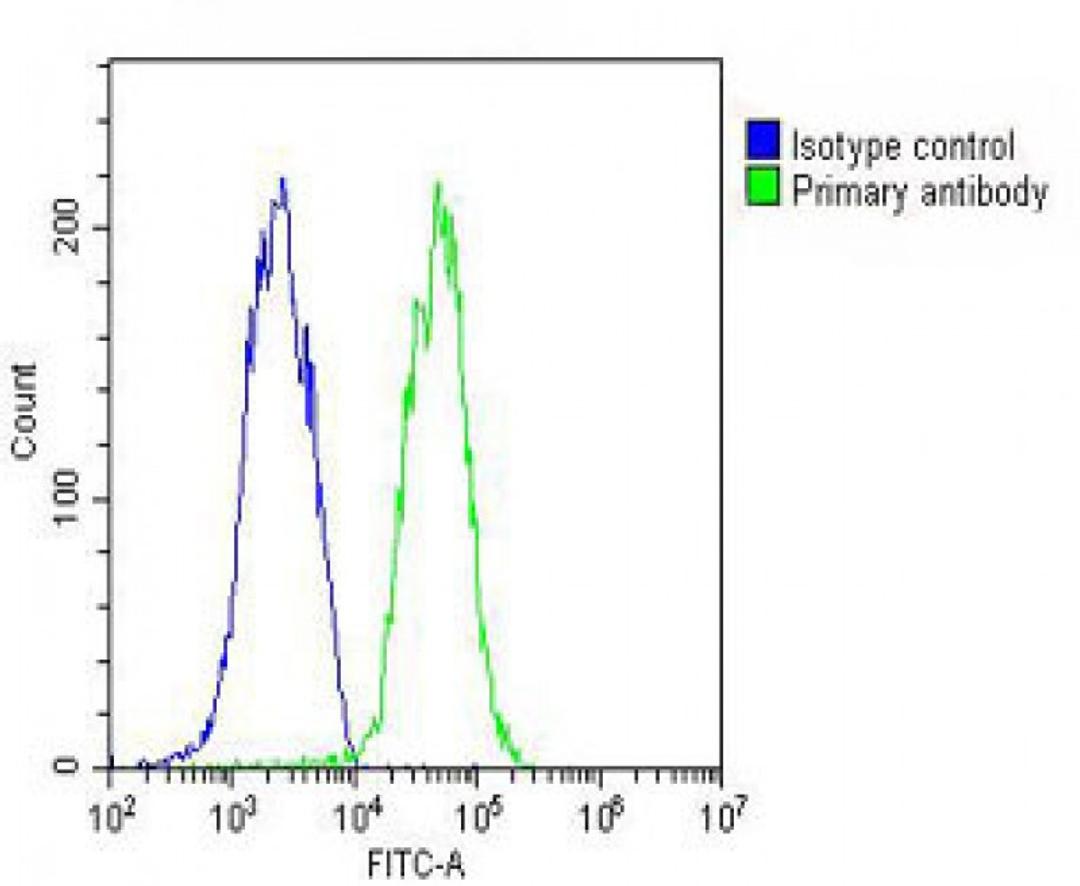 Overlay histogram showing HepG2 cells stained with Antibody (green line). The cells were fixed with 2% paraformaldehyde (10 min) and then permeabilized with 90% methanol for 10 min. The cells were then icubated in 2% bovine serum albumin to block non-spec