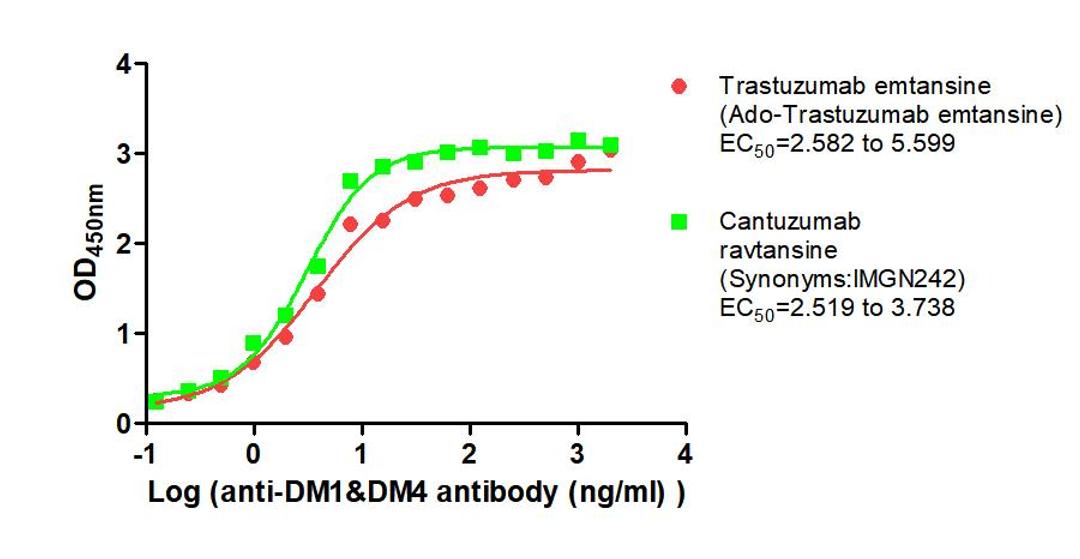 The Binding Activity of Trastuzumab emtansine (Ado-Trastuzumab emtansine) and Cantuzumab ravtansine (Synonyms:IMGN242) with Anti-DM1&DM4 antibody. Activity: Measured by its binding ability in a functional ELISA. Immobilized Trastuzumab emtansine (Ado-Trastuzumab emtansine) and Cantuzumab ravtansine (Synonyms:IMGN242) at 2 μg/mL can bind Anti-DM1&DM4 antibody, the EC<sub>50</sub> is 2.582 to 5.599 ng/mL and 2.519 to 3.738 ng/mL, respectively.