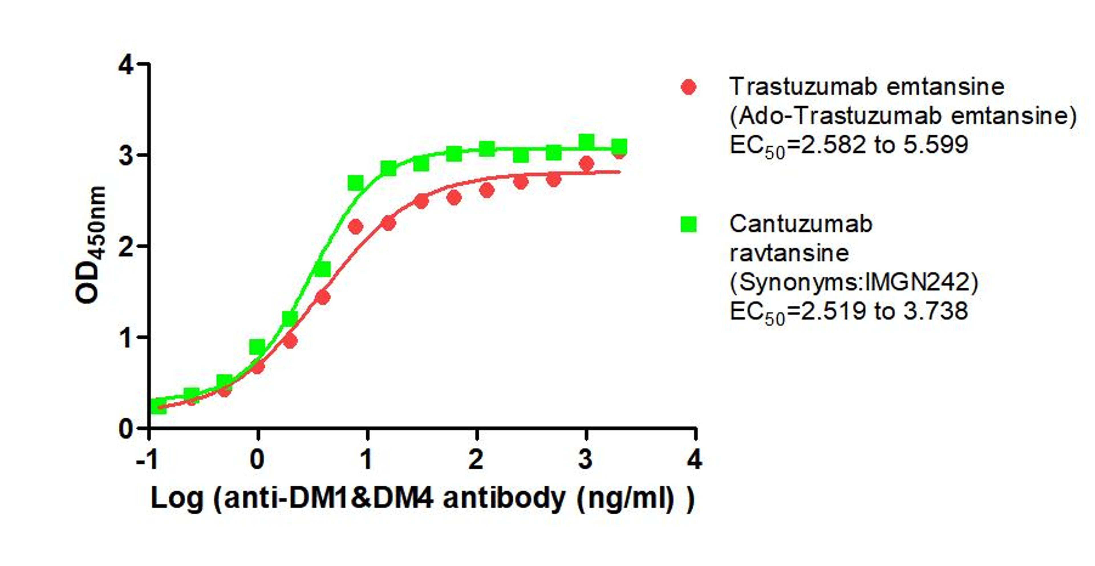The Binding Activity of Trastuzumab emtansine (Ado-Trastuzumab emtansine) and Cantuzumab ravtansine (Synonyms:IMGN242) with Anti-DM1&DM4 antibody. Activity: Measured by its binding ability in a functional ELISA. Immobilized Trastuzumab emtansine (Ado-Trastuzumab emtansine) and Cantuzumab ravtansine (Synonyms:IMGN242) at 2 μg/mL can bind Anti-DM1&DM4 antibody, the EC<sub>50</sub> is 2.582 to 5.599 ng/mL and 2.519 to 3.738 ng/mL, respectively.