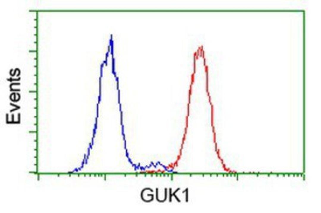 Flow Cytometry: Guanylate kinase Antibody (4A8) [NBP2-00594] - Analysis of Hela cells, using anti-Guanylate kinase antibody, (Red), compared to a nonspecific negative control antibody (Blue).