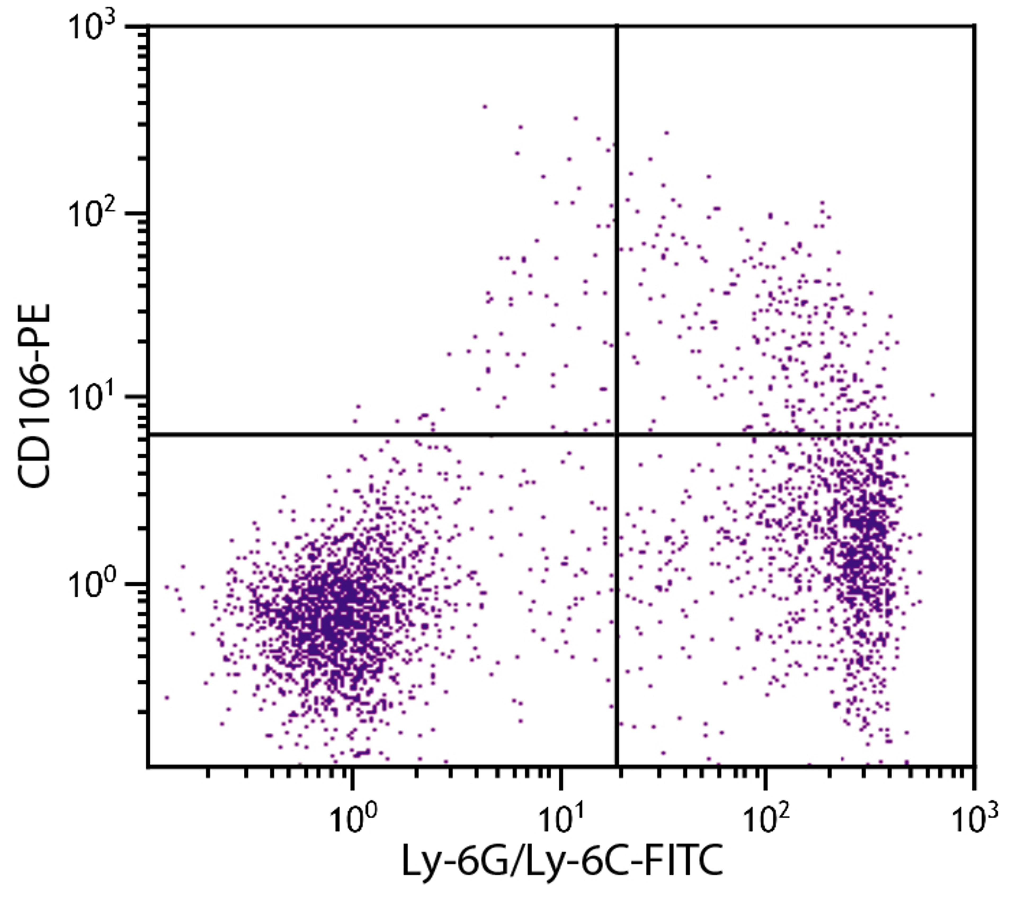 BALB/c mouse bone marrow cells were stained with Rat Anti-Mouse CD106-PE (Cat. No 98-547) and Rat Anti-Mouse Ly-6G/Ly-6C-FITC .