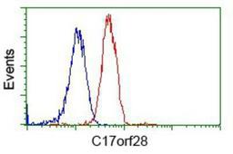 Flow Cytometry: HID1 Antibody (2F4) [NBP2-02667] - Analysis of Jurkat cells, using anti-C17orf28 antibody, (Red), compared to a nonspecific negative control antibody (Blue).