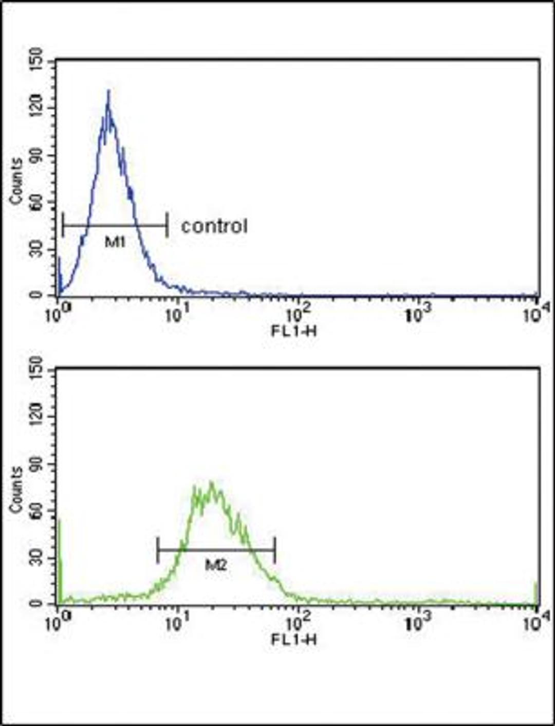 Flow Cytometry: Ext2 Antibody [NBP2-29948] - Flow cytometry analysis of Hela cells (bottom histogram) compared to a negative control cell (top histogram).FITC-conjugated goat-anti-rabbit secondary antibodies were used for the analysis.