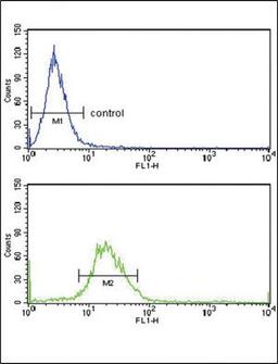 Flow Cytometry: Ext2 Antibody [NBP2-29948] - Flow cytometry analysis of Hela cells (bottom histogram) compared to a negative control cell (top histogram).FITC-conjugated goat-anti-rabbit secondary antibodies were used for the analysis.