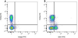 Figure A. mouse anti rat TCRa/b. Figure B. mouse anti rat TCRa/b and mouse anti rat CD31. 