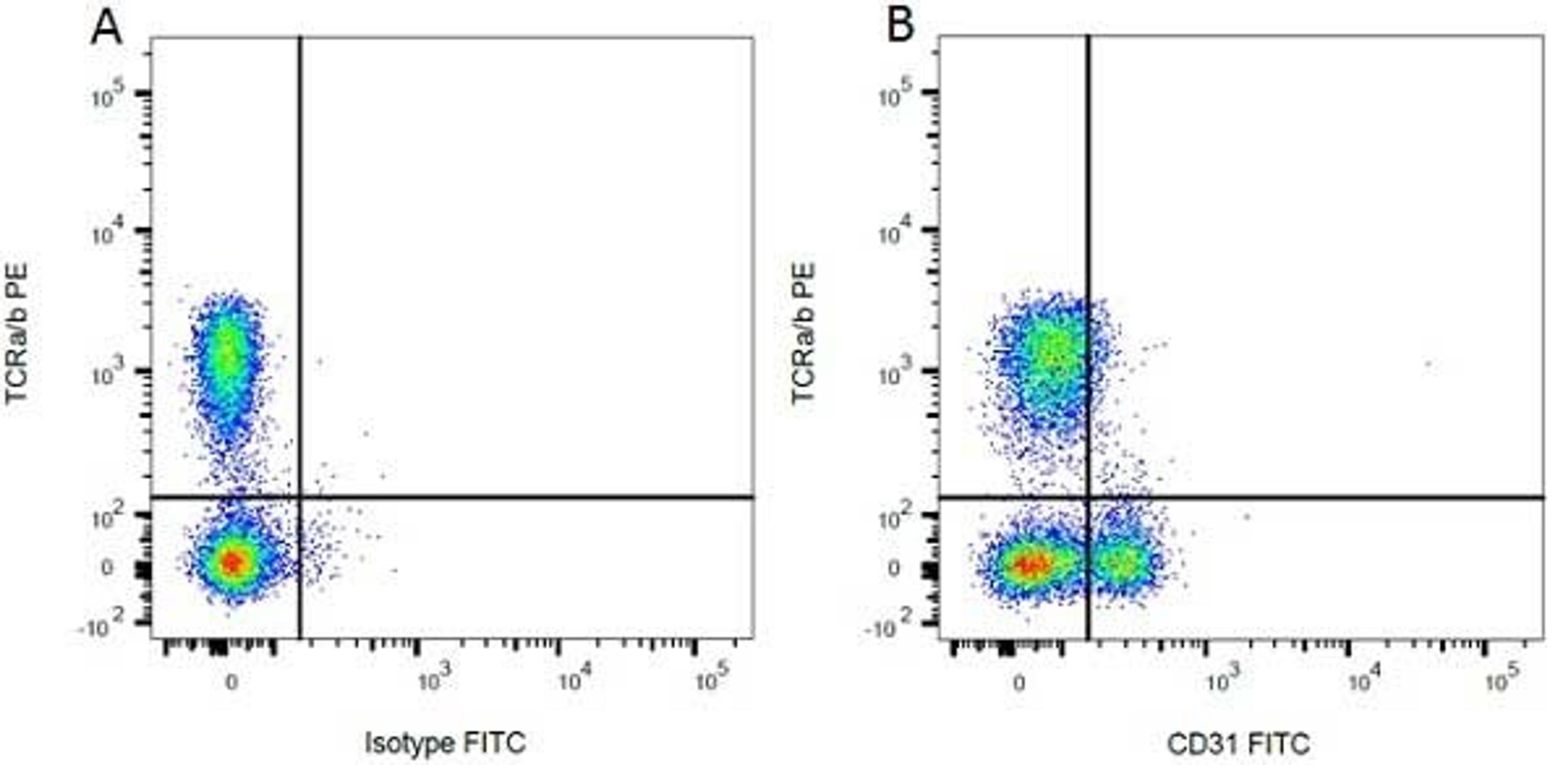 Figure A. mouse anti rat TCRa/b. Figure B. mouse anti rat TCRa/b and mouse anti rat CD31. 