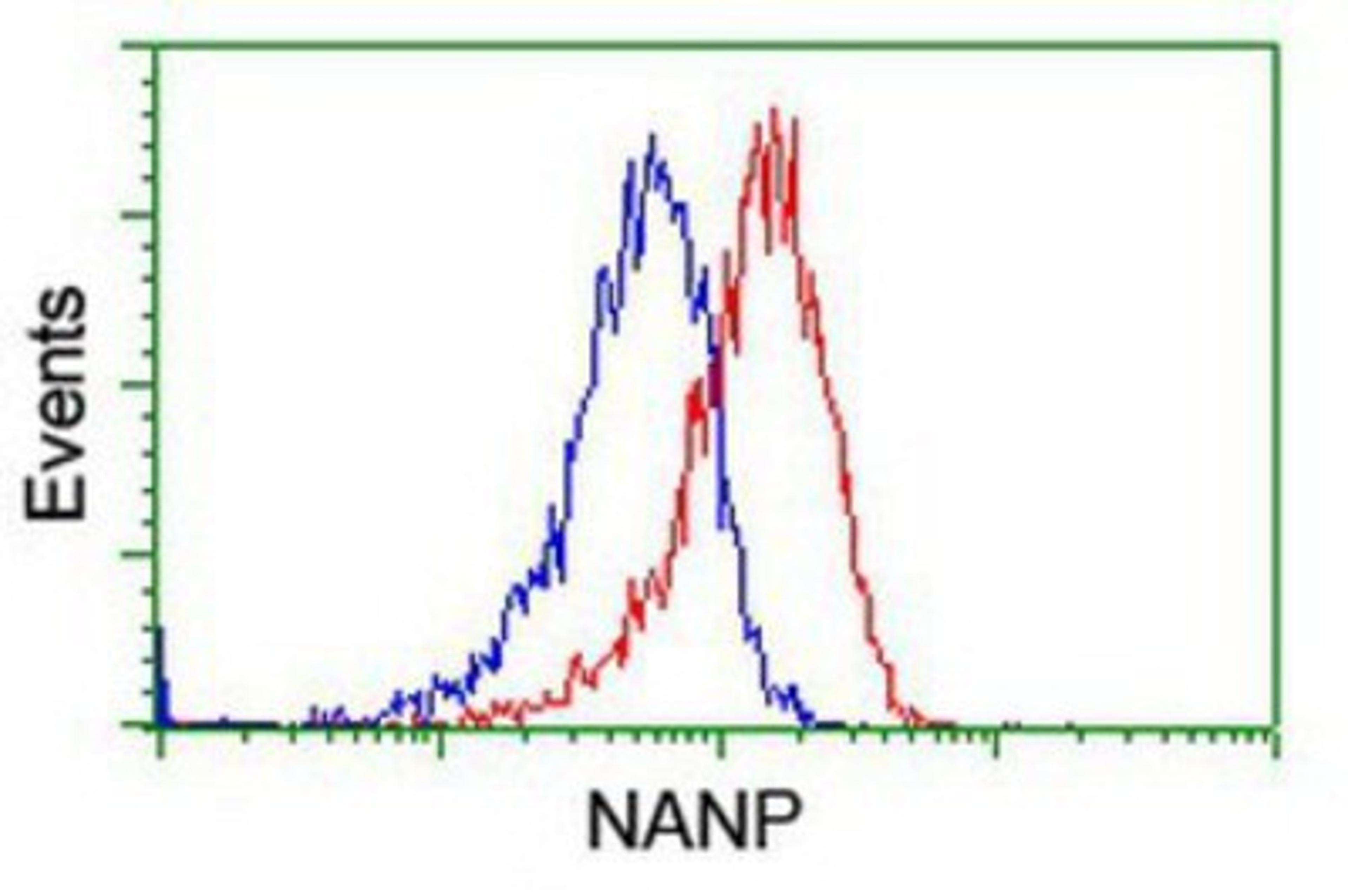 Flow Cytometry: NANP Antibody (4D11) [NBP2-01935] - Analysis of Hela cells, using anti-NANP antibody, (Red), compared to a nonspecific negative control antibody (Blue).