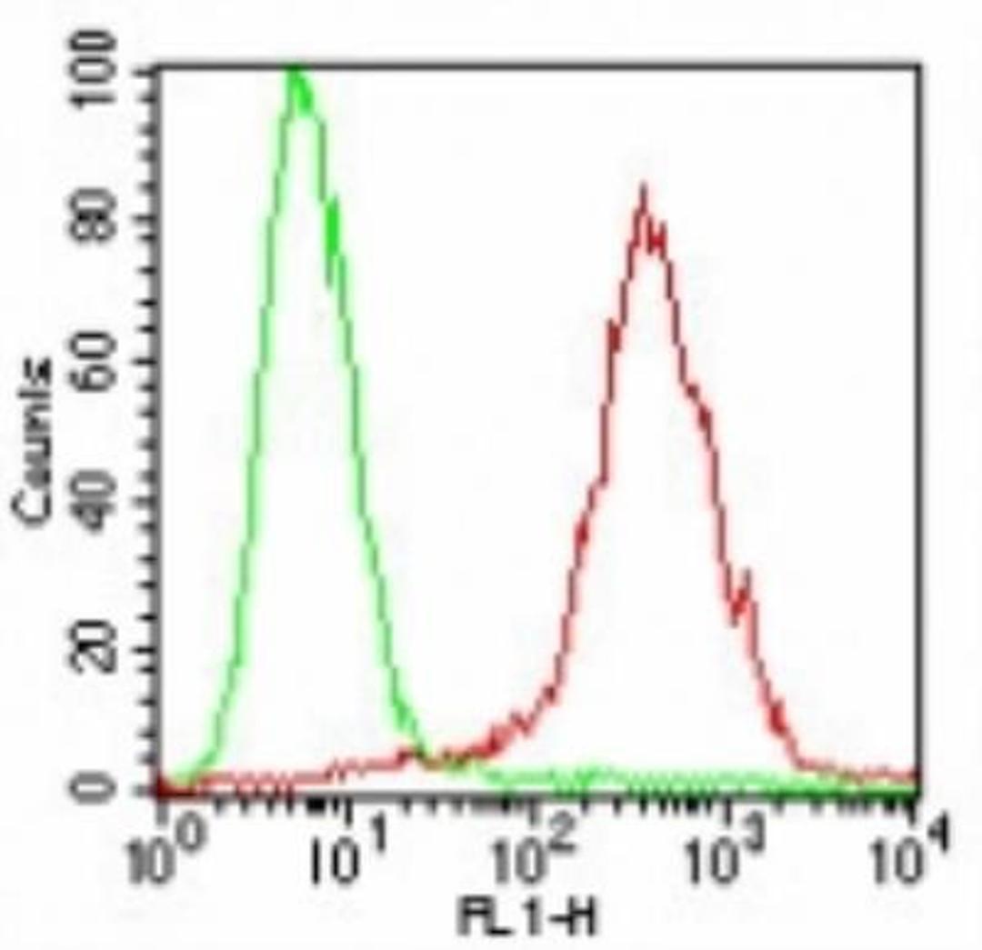 Flow (Cell Surface): SSEA-4 Antibody (MC-813-70) [NBP2-26644] - Analysis using the FITC conjugate of NBP2-26644. Staining of SSEA-4 on human 2102Ep cells using 10 ul/10^6 cells of NBP2-26645 (green histogram represents isotype control; red represents SSEA-4 antibody).