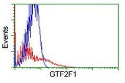 Flow Cytometry: RAP30 Antibody (4B10) [NBP2-01265] - HEK293T cells transfected with either overexpression plasmid (Red) or empty vector control plasmid (Blue) were immunostained by anti-RAP30 antibody, and then analyzed by flow cytometry.