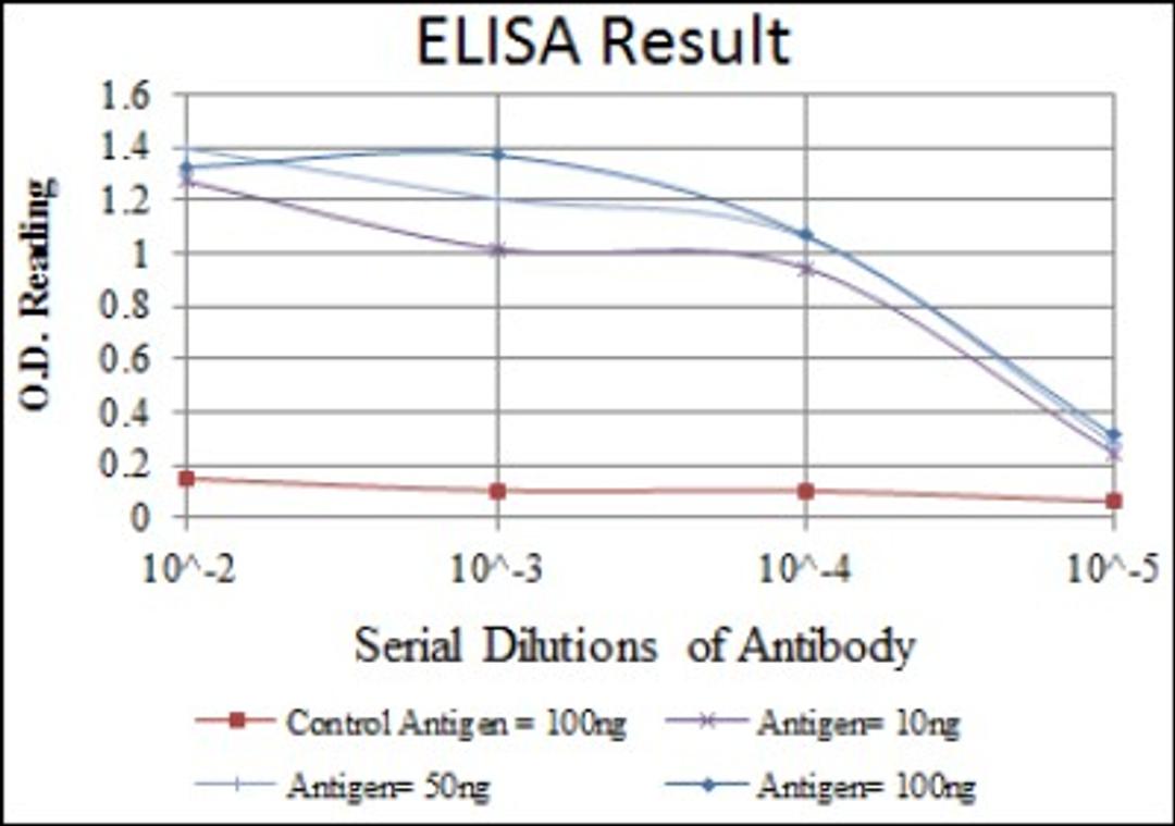 ELISA: DNA PKcs Antibody (3H6) [NBP2-22128] - Red: Control Antigen (100ng); Purple: Antigen (10ng); Green: Antigen (50ng); Blue: Antigen (100ng).