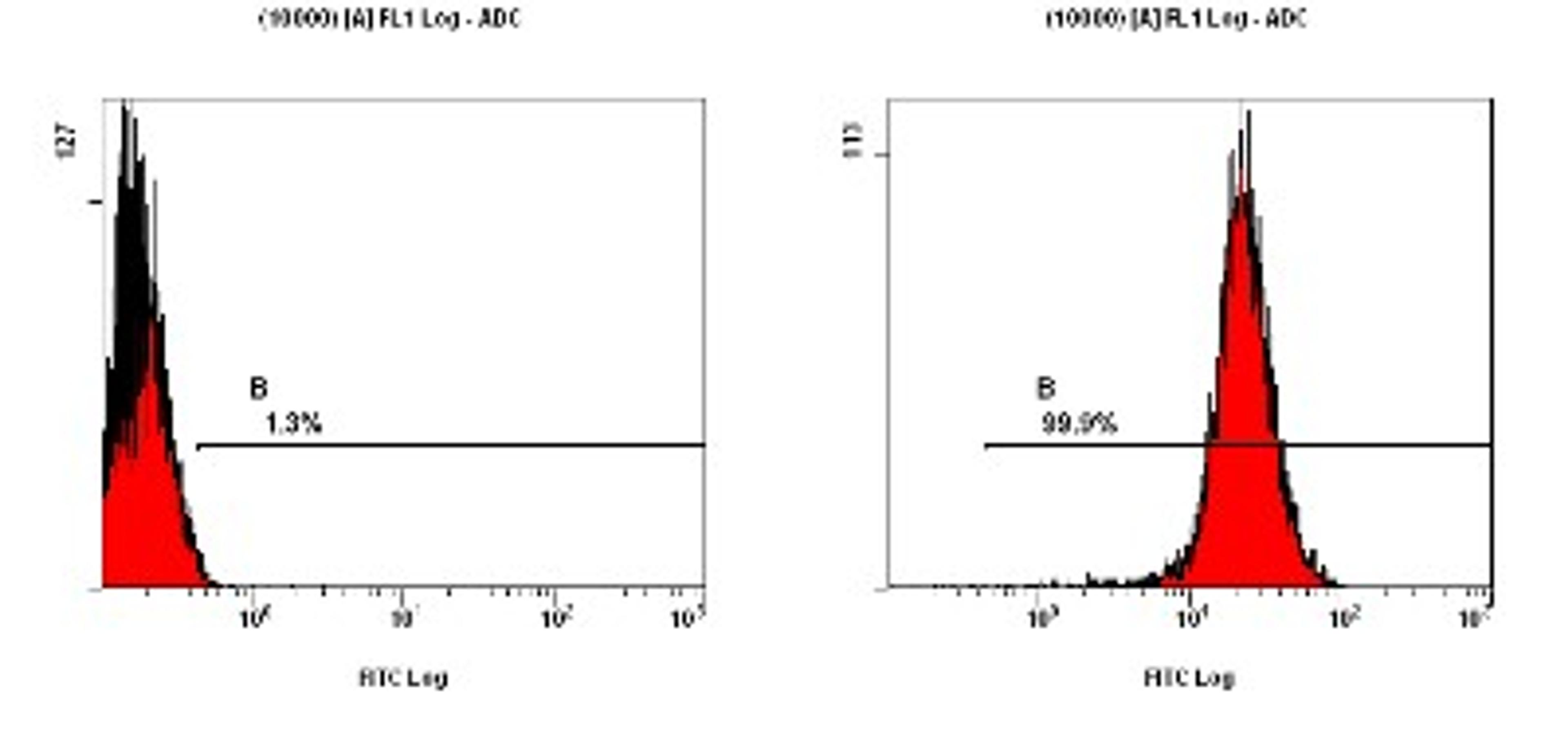 Flow Cytometry: Telomerase reverse transcriptase Antibody (2C4) [NB100-317] - Staining of NTERA-2 cells using NB100-317at a 1:200 dilution detected using Dylight-488 conjugated goat anti-mouse IgM secondary antibody.