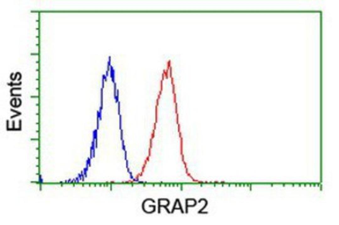 Flow Cytometry: GRAP2 Antibody (1G2) [NBP2-00764] - Analysis of Jurkat cells, using anti-GRAP2 antibody, (Red), compared to a nonspecific negative control antibody (Blue).