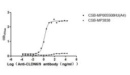 The Binding Activity of Human CLDN6 with Anti-CLDN6-9 recombinant antibody. Activity: Measured by its binding ability in a functional ELISA. Immobilized Human CLDN6 (CSB-MP005508HU(A4)) at 10 μg/mL can bind Anti-CLDN6-9 recombinant antibody. The EC<sub>50</sub> is 1.189-1.618 ng/mL. The VLPs (CSB-MP3838) is negative control.