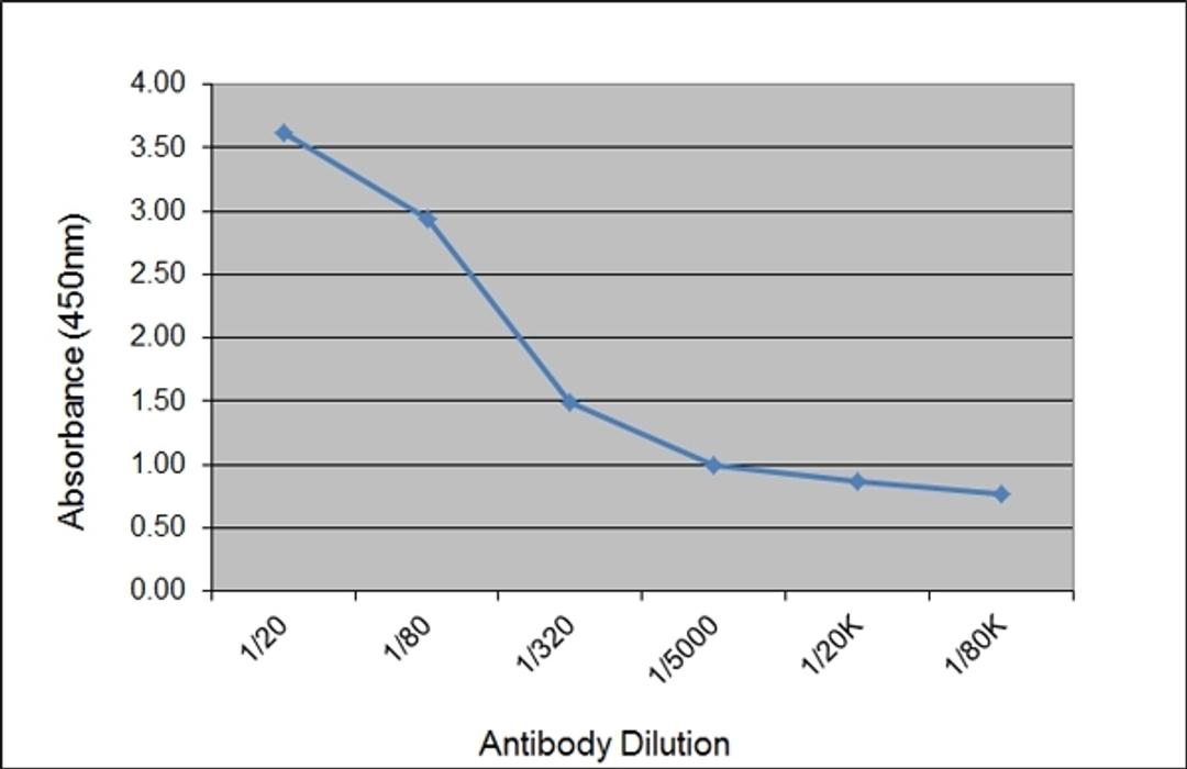 ELISA analysis of recombinant Human IgG3 kappa 