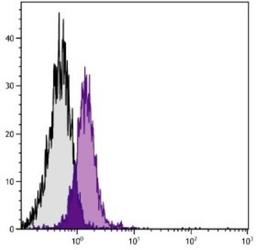 Flow Cytometry: CD28 Antibody (PV-1) [NBP1-27932] - Analysis using the PE conjugate of NBP1-27932. Staining of BALB/cAnN mouse b lymphocyte cell line A20 and C57BL/6N lymphocyte cell line EL-4.