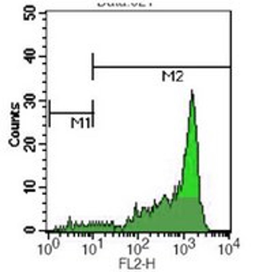 Flow cytometric analysis of human peripheral blood lymphocytes using CD45RB antibody (PE)