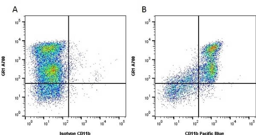 Figure A. Rat anti Mouse GR-1. Figure B. Rat anti Mouse GR-1 and Rat anti Mouse CD11b.
