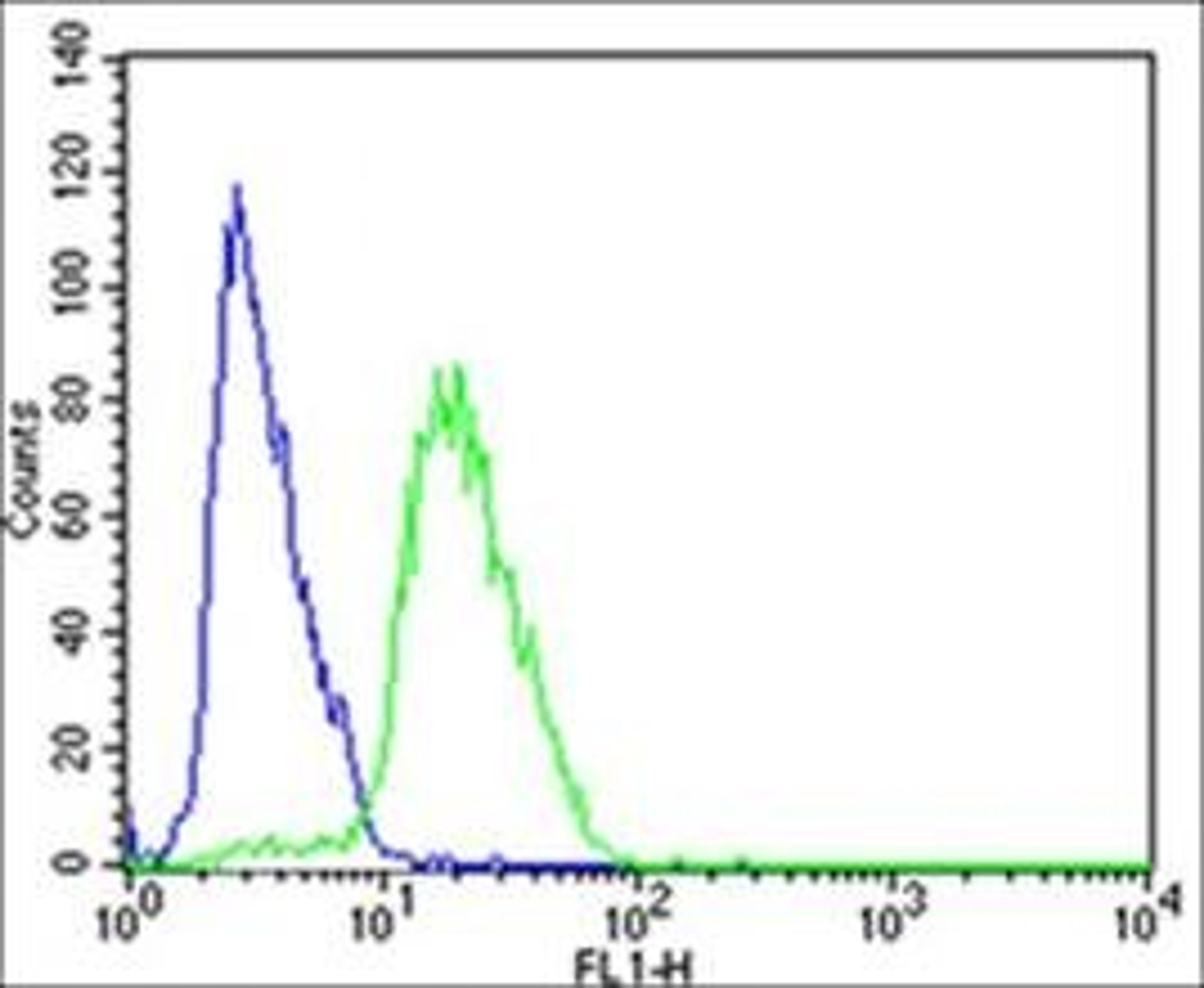 Flow cytometric analysis of SH-SY5Y cells using STMN2 antibody (primary antibody dilution at: 1:25)