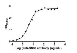 The Binding Activity of Labetuzumab govitecan  (Synonyms: IMMU 130; hMN-14-SN-38) with Anti-SN38 antibody. Activity: Measured by its binding ability in a functional ELISA. Immobilized Labetuzumab govitecan  (Synonyms: IMMU 130; hMN-14-SN-38) at 2 μg/mL can bind Anti-SN38 antibody, the EC<sub>50</sub> is 3.326 to 4.721 ng/mL.