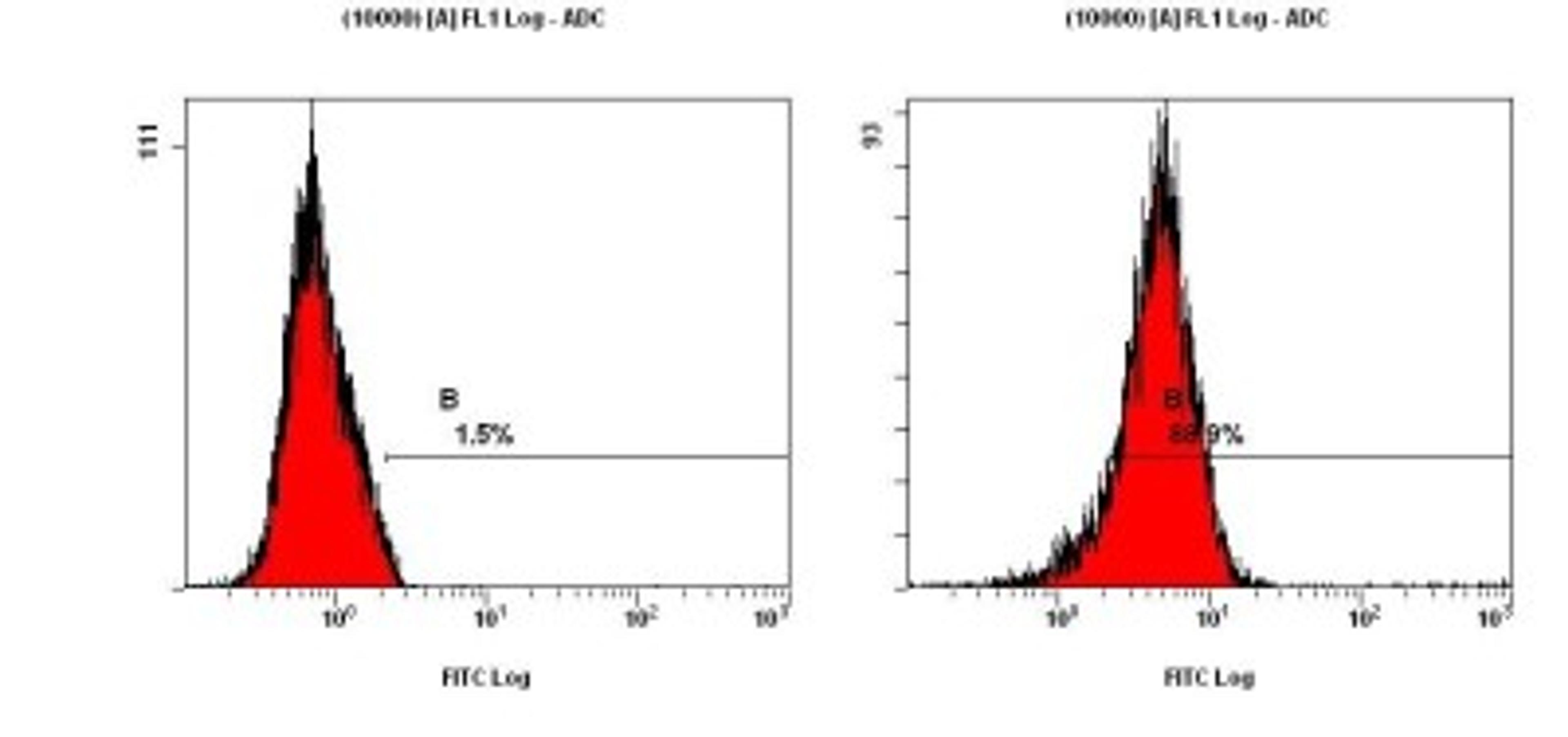 Flow Cytometry: LC3/MAP1LC3A Antibody [NBP1-19167] - Staining of NTERA-2 cells using NBP1-19167 at a 1:50 dilution detected using Dylight-488 conjugated goat anti-rabbit IgG secondary antibody.