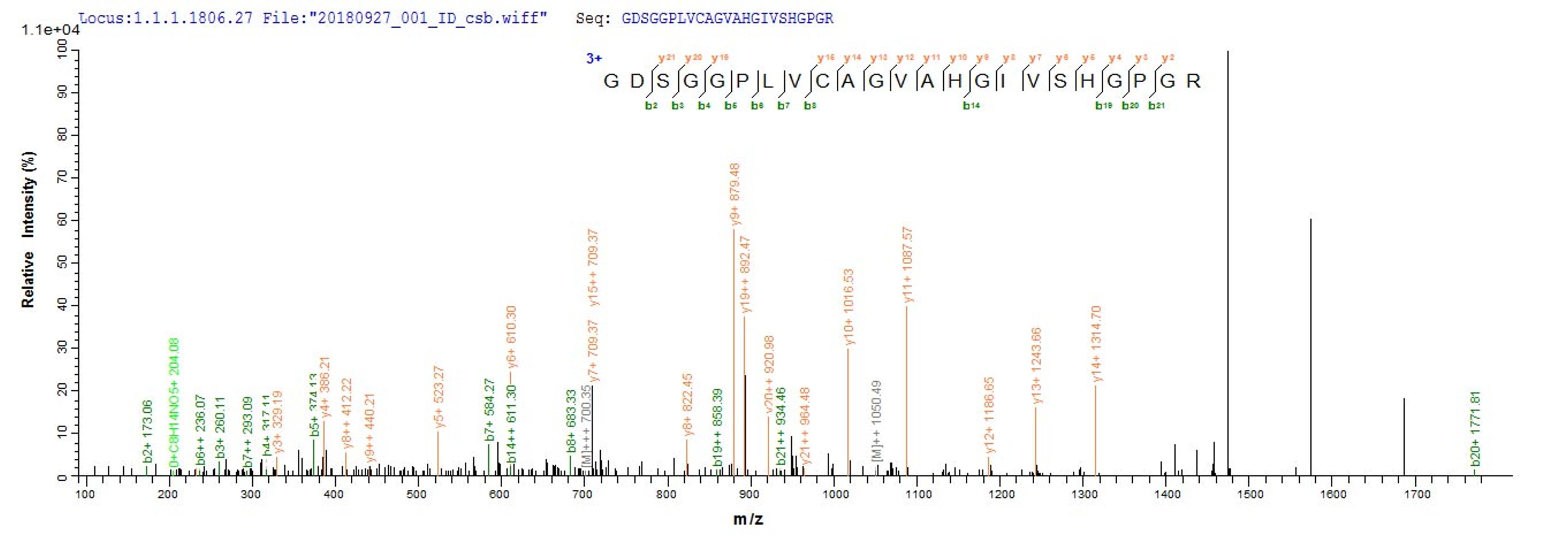 Based on the SEQUEST from database of E.coli host and target protein, the LC-MS/MS Analysis result of CSB-EP311424RA could indicate that this peptide derived from E.coli-expressed Rattus norvegicus (Rat) Mcpt4.