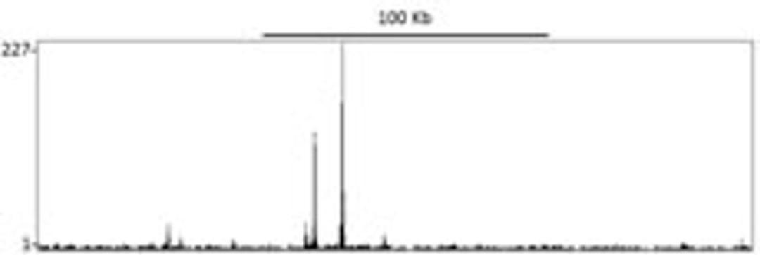 Localization of Estrogen Receptor Alpha Binding Sites by ChIP-sequencing.