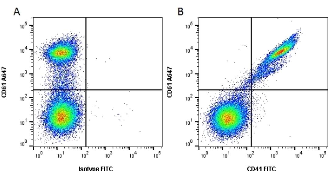 Figure A. Mouse anti Human CD61 . Figure B. Mouse anti Human CD61 and Mouse anti Human CD41.