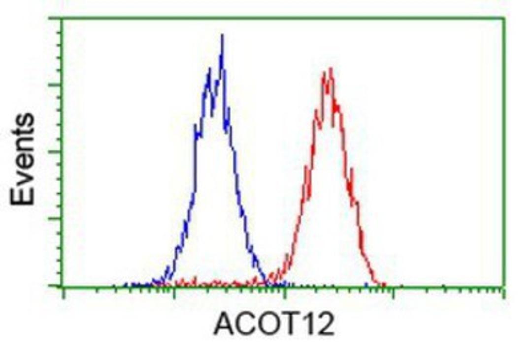 Flow Cytometry: ACOT12 Antibody (1A11) [NBP2-03605] - Analysis of Hela cells, using anti-ACOT12 antibody, (Red), compared to a nonspecific negative control antibody (Blue).