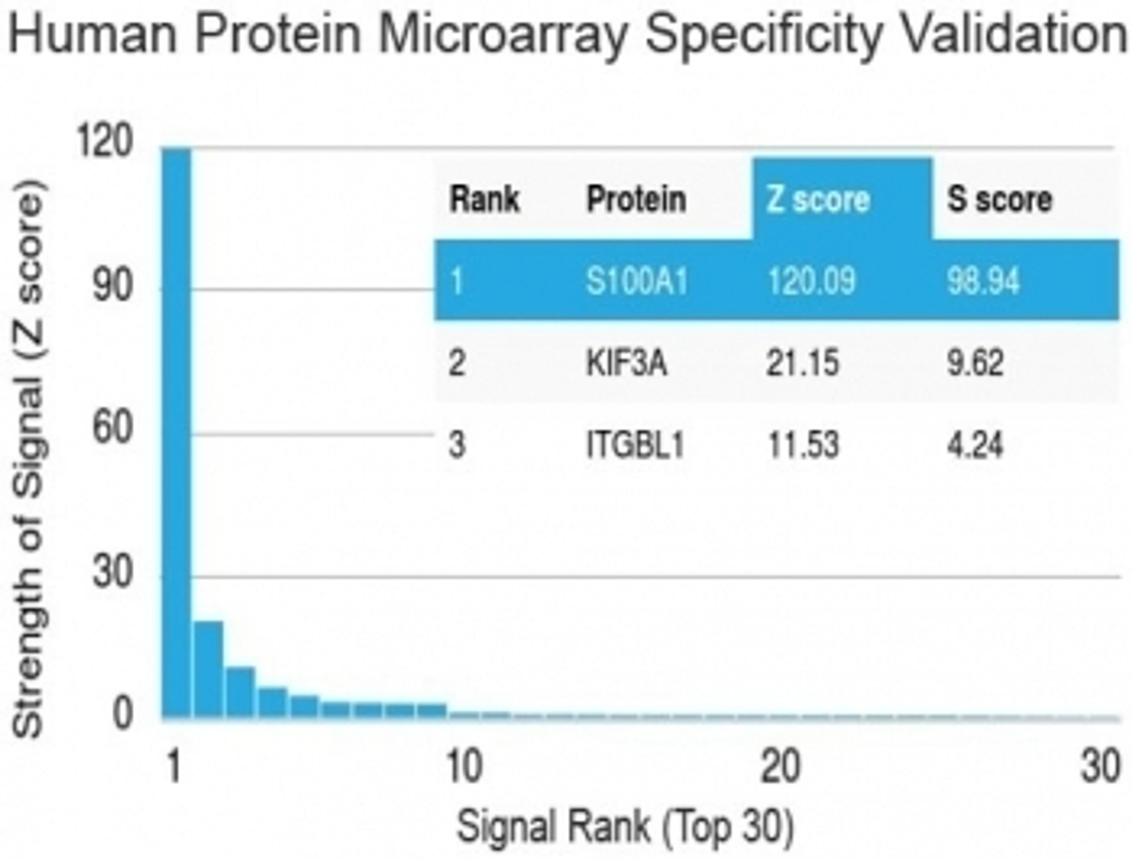 Analysis of HuProt(TM) microarray containing more than 19,000 full-length human proteins using S100A1 antibody (clone S100A1/1942).  Z- and S- score: The Z-score represents the strength of a signal that an antibody (in combination with a fluorescently-tag