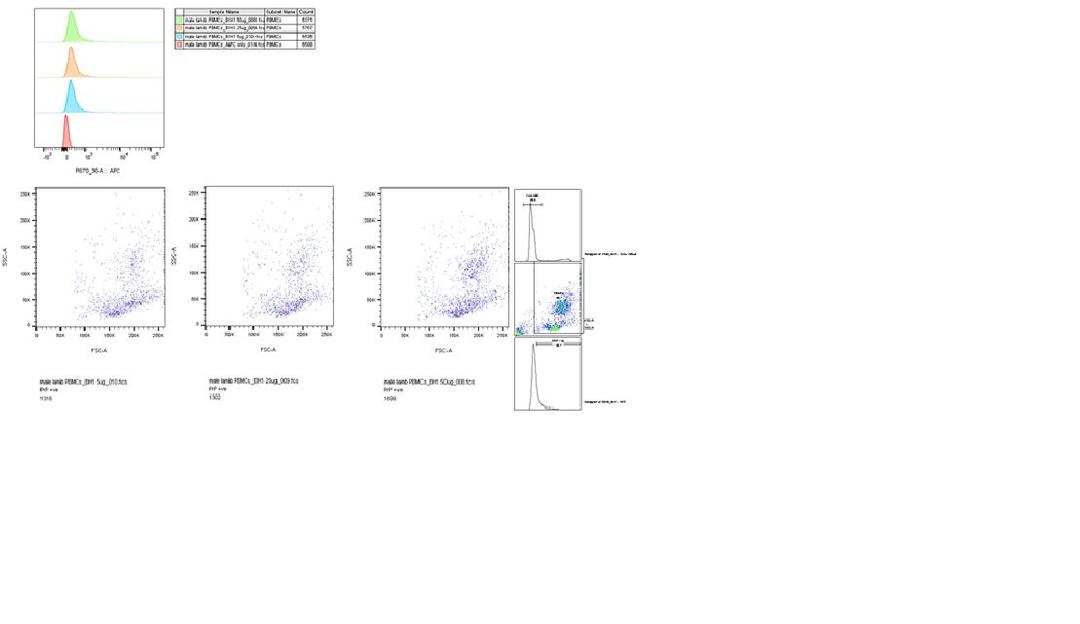 Flow cytometry analysis of ovine PBMC's using Mouse anti Sheep CD230