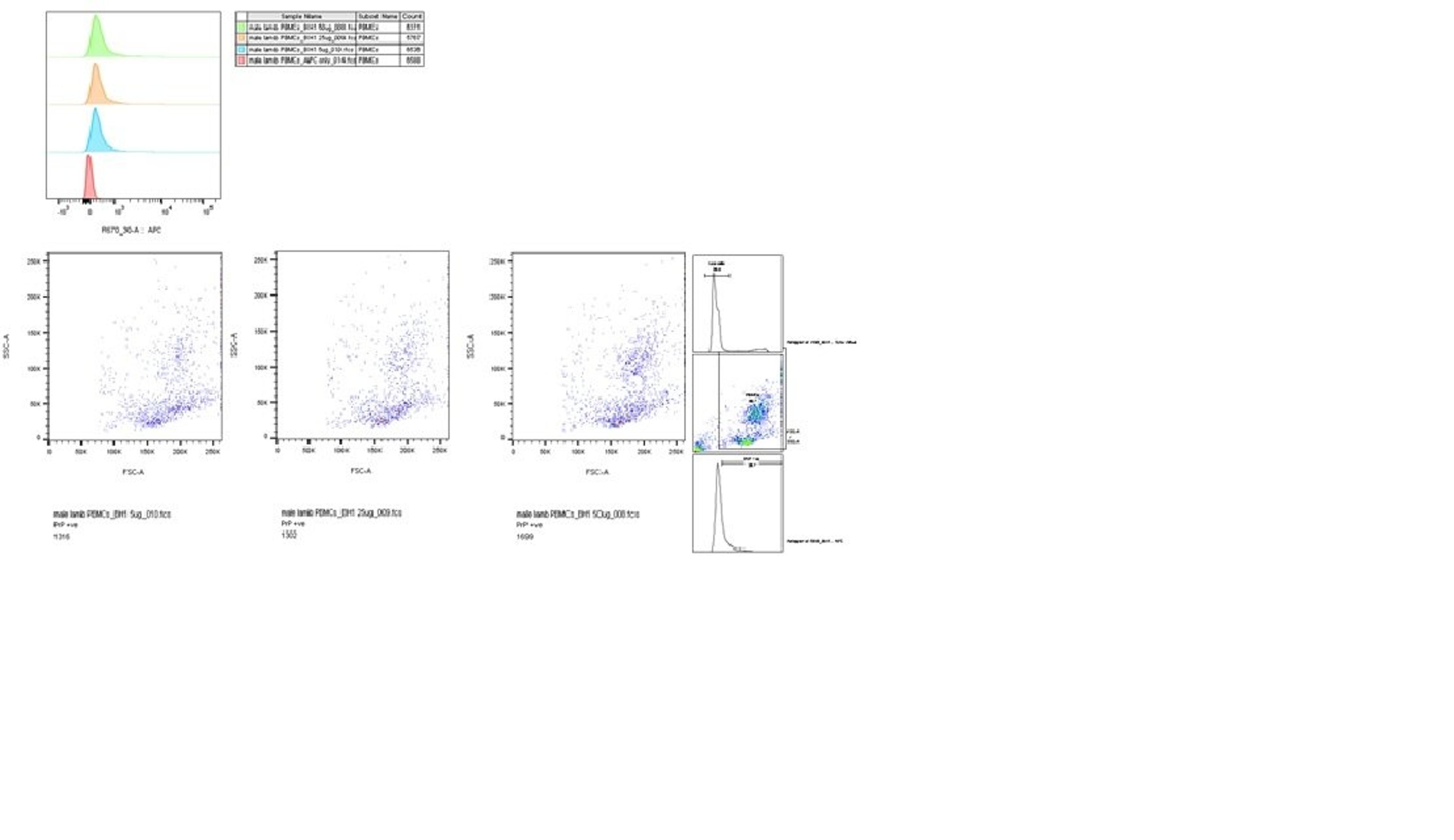 Flow cytometry analysis of ovine PBMC's using Mouse anti Sheep CD230