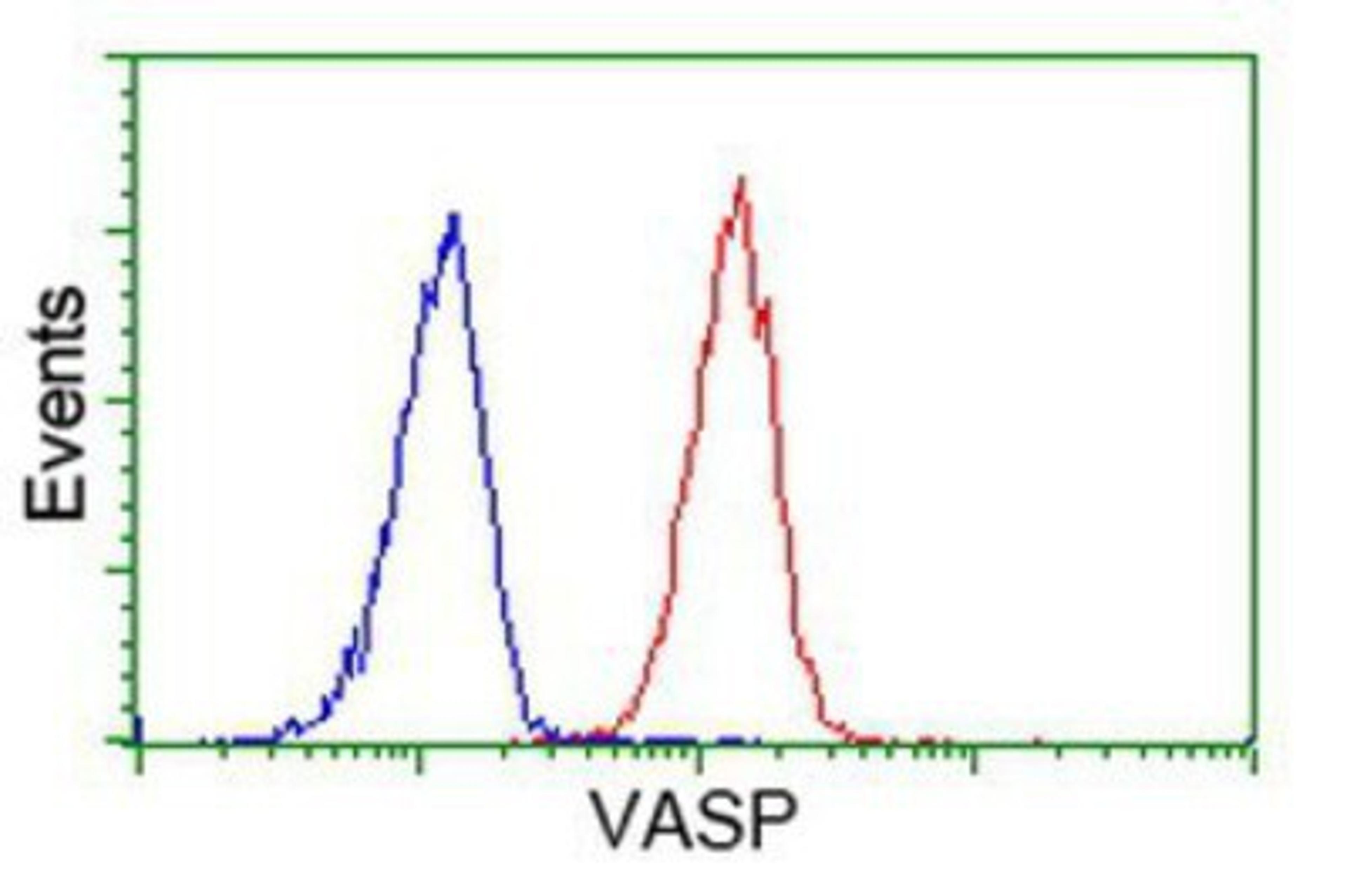 Flow Cytometry: VASP Antibody (4D6) [NBP2-00555] - Analysis of Hela cells, using anti-VASP antibody, (Red), compared to a nonspecific negative control antibody (Blue).