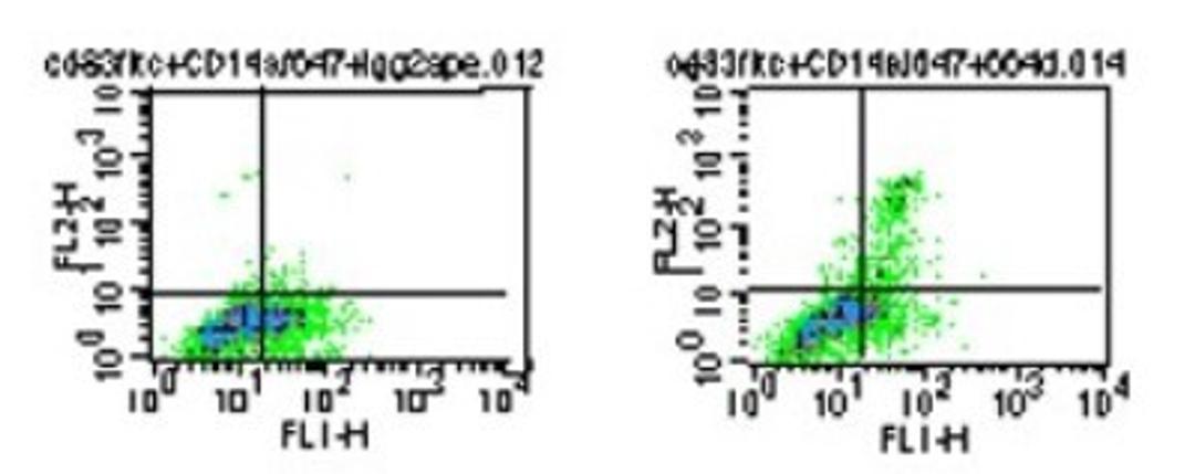 Flow Cytometry: TLR5 Antibody (19D759.2) [NBP2-24787] - Analysis using the PE conjugate of NBP2-24787. Staining of CD14-/CD83+/TLR5+ diffferentiated myeloid dendritic cells (mDCs). PBMCs were stimulated 5 days with GM-CSF+IL4 prior to the staining. The cells were stained for surface markers CD14 and CD83 FITC, and TLR5 PE. CD14- cells were gated and stained with PE-conjugated isotype control (mouse IgG2a), and FITC-conjugated CD83 (left). CD14- cells were gated and stained with 1 ug PE-conjugated TLR5 , and FITC-conjugated CD83 (right).