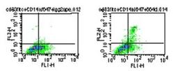 Flow Cytometry: TLR5 Antibody (19D759.2) [NBP2-24787] - Analysis using the PE conjugate of NBP2-24787. Staining of CD14-/CD83+/TLR5+ diffferentiated myeloid dendritic cells (mDCs). PBMCs were stimulated 5 days with GM-CSF+IL4 prior to the staining. The cells were stained for surface markers CD14 and CD83 FITC, and TLR5 PE. CD14- cells were gated and stained with PE-conjugated isotype control (mouse IgG2a), and FITC-conjugated CD83 (left). CD14- cells were gated and stained with 1 ug PE-conjugated TLR5 , and FITC-conjugated CD83 (right).