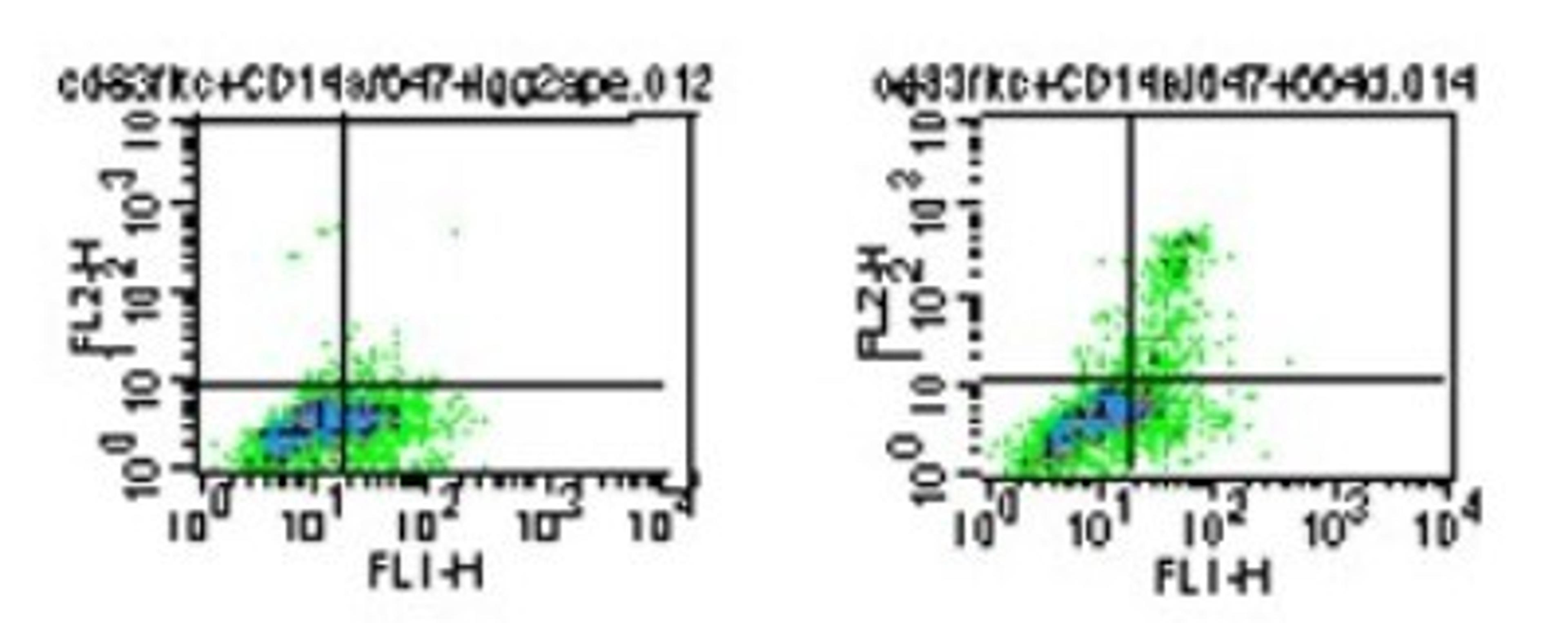 Flow Cytometry: TLR5 Antibody (19D759.2) [NBP2-24787] - Analysis using the PE conjugate of NBP2-24787. Staining of CD14-/CD83+/TLR5+ diffferentiated myeloid dendritic cells (mDCs). PBMCs were stimulated 5 days with GM-CSF+IL4 prior to the staining. The cells were stained for surface markers CD14 and CD83 FITC, and TLR5 PE. CD14- cells were gated and stained with PE-conjugated isotype control (mouse IgG2a), and FITC-conjugated CD83 (left). CD14- cells were gated and stained with 1 ug PE-conjugated TLR5 , and FITC-conjugated CD83 (right).