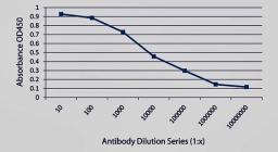 Line graph of ELISA titration illustrates the different absorption levels of Campylobacter jejuni antibody using different dilutions series  