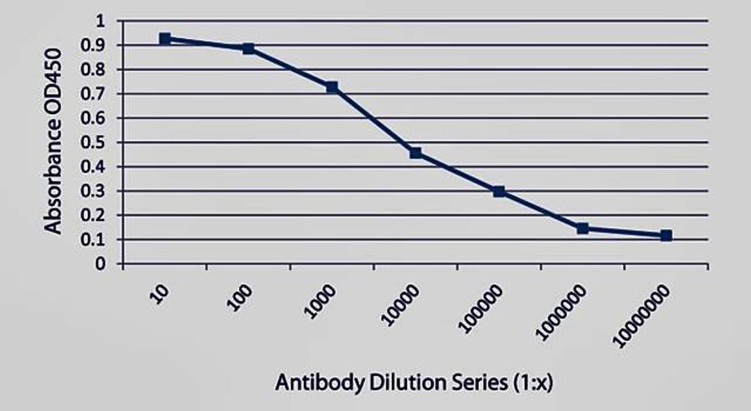 Line graph of ELISA titration illustrates the different absorption levels of Campylobacter jejuni antibody using different dilutions series