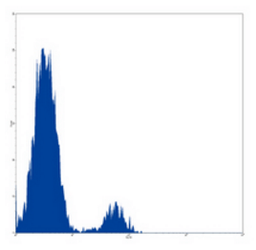 Flow cytometric analysis of human peripheral blood lymphocytes using CD21 antibody (FITC)