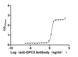 The Binding Activity of Human GPC3 with Anti-GPC3 recombinant Antibody. Activity: Measured by its binding ability in a functional ELISA. Immobilized Human GPC3 (CSB-MP009705HU(M)) at 2 μg/mL can bind Anti- GPC3 recombinant Antibody, the EC<sub>50</sub> is 2.783-3.653 ng/mL.