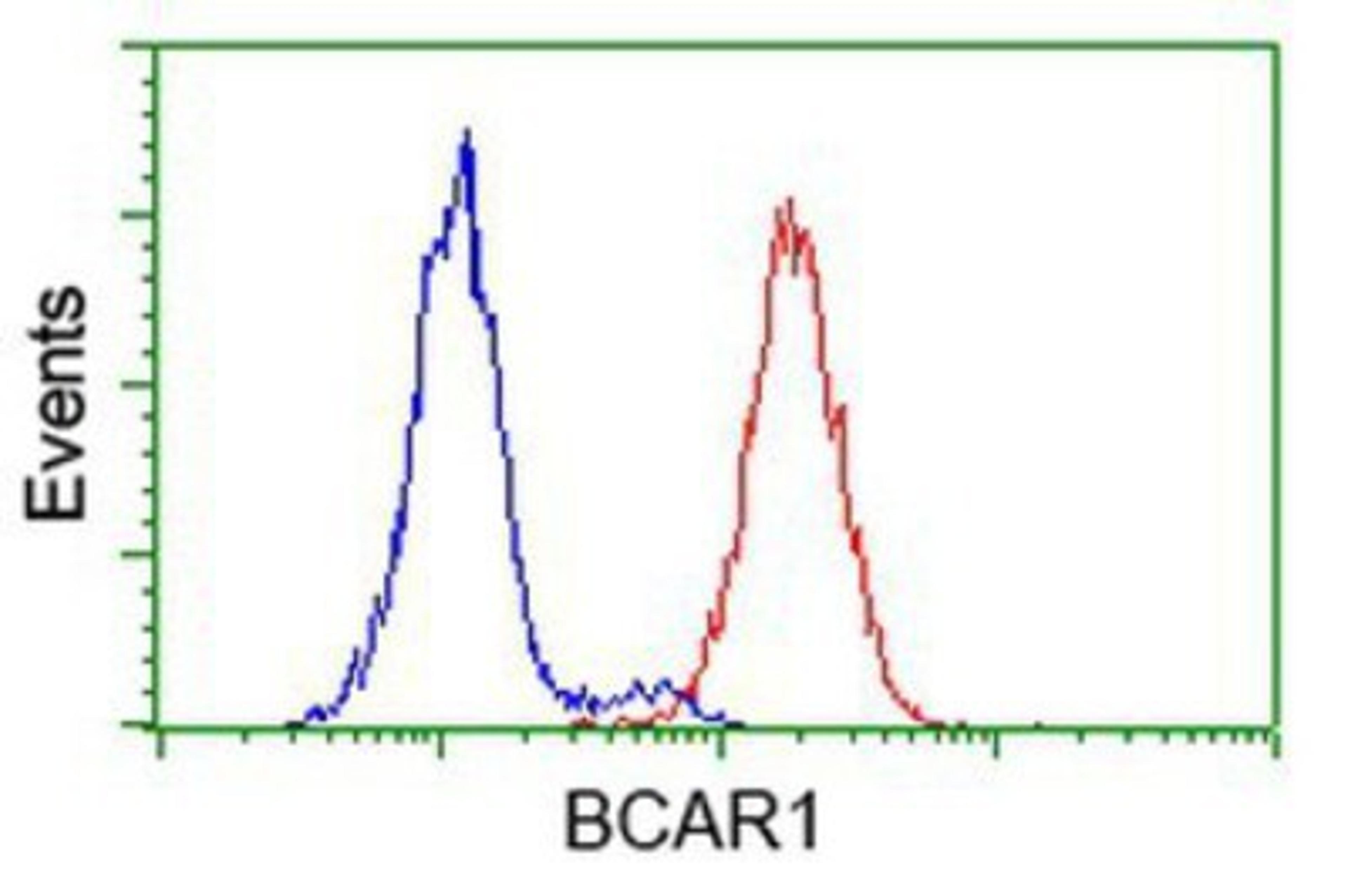 Flow Cytometry: BCAR1 Antibody (1A9) [NBP2-00532] - Analysis of Hela cells, using anti-BCAR1 antibody, (Red), compared to a nonspecific negative control antibody (Blue).